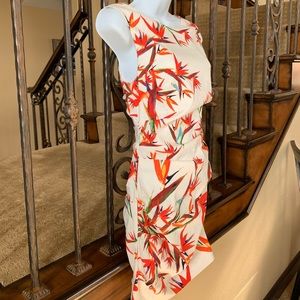 Nicole Miller artelier birds of paradise dress